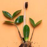Escova de Dente Biodegradável Veitsmile Tube Preta - Case de Bambu