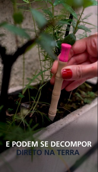 Como descartar as escovas de dente de bambu